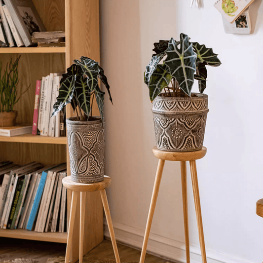 Classic Element Art Planter Clay Flowerpot